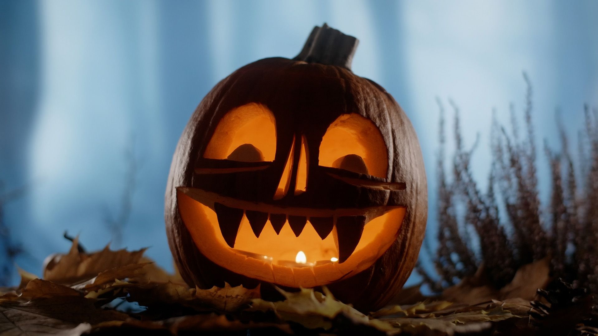 Pumpkin jack-o'-lantern carved for Halloween, lit from inside with candles.